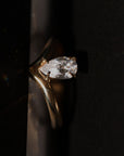 Fran Ring