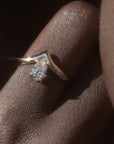 Fran Ring