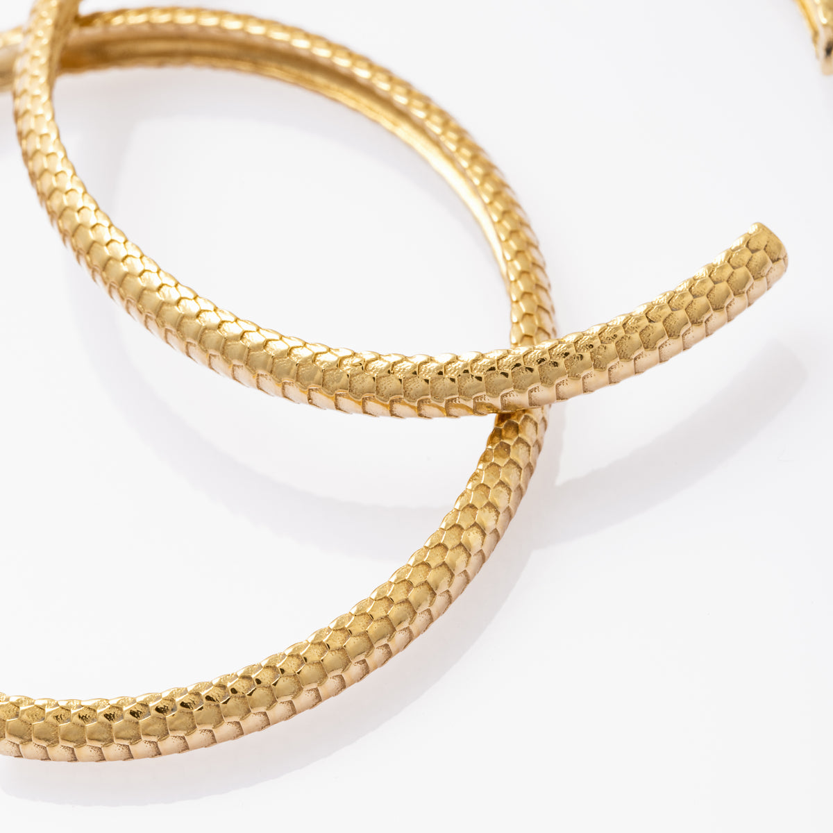 Jackie Large Hoop